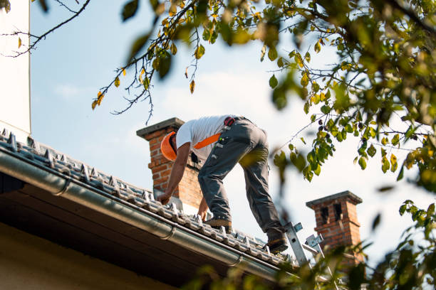 Best Roof Leak Repair  in Capac, MI
