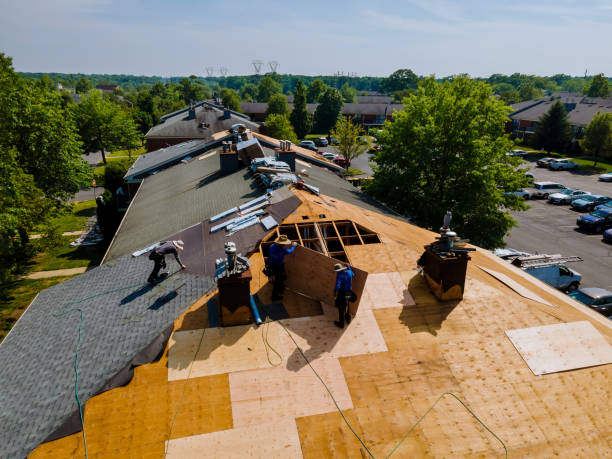 Quick and Trustworthy Emergency Roof Repair Services in Capac, MI
