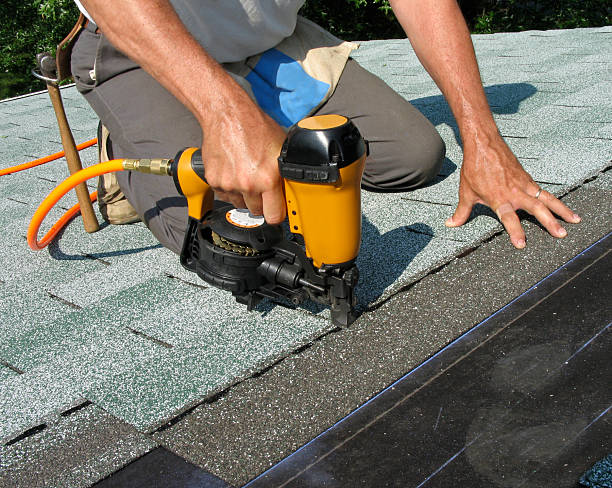 Best Storm Damage Roof Repair  in Capac, MI