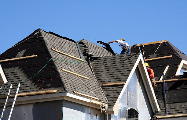 Best New Roof Installation  in Capac, MI