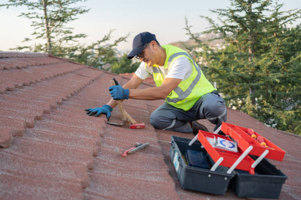 Best Emergency Roof Repair  in Capac, MI