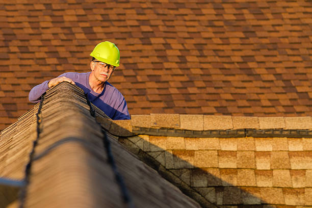 Best Residential Roofing Contractor  in Capac, MI