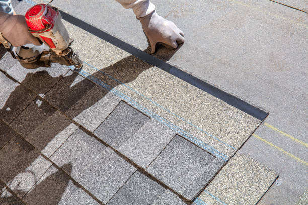 Best Local Roofing Companies  in Capac, MI